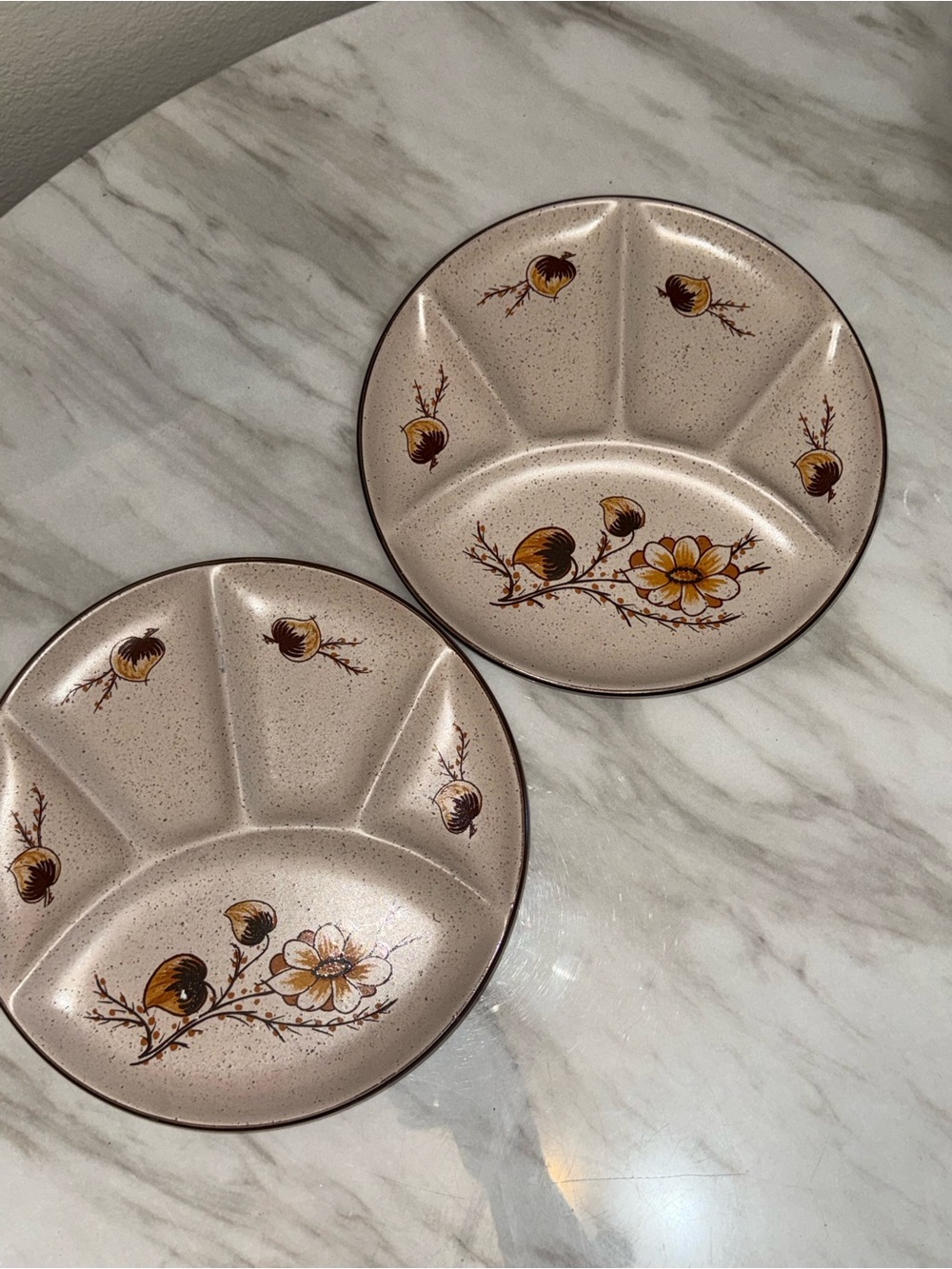 Hearthside Lora Stoneware Speckled Floral Divided Plate Set of 2 Fondue